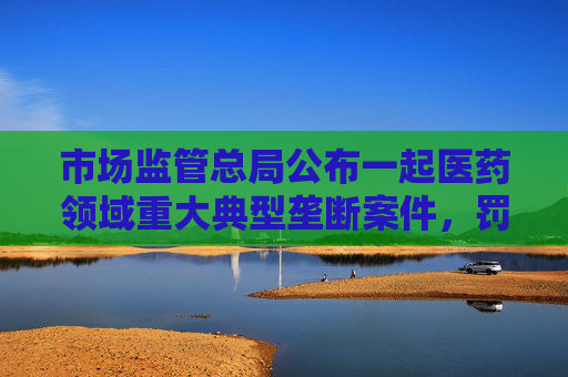 市场监管总局公布一起医药领域重大典型垄断案件，罚没3.62亿元
