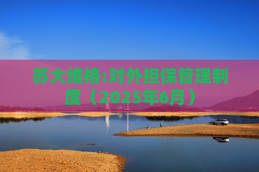 苏大维格:对外担保管理制度（2025年6月）