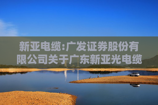 新亚电缆:广发证券股份有限公司关于广东新亚光电缆股份有限公司调整部分募投项目实施地点及内部投资结构的核查意见  第1张