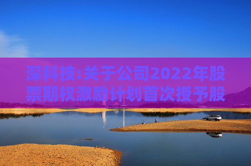 深科技:关于公司2022年股票期权激励计划首次授予股票期权第一个行权期行权条件成就的公告