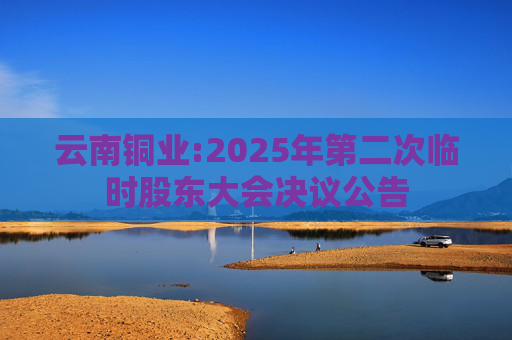 云南铜业:2025年第二次临时股东大会决议公告