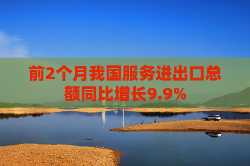 前2个月我国服务进出口总额同比增长9.9%