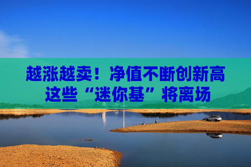 越涨越卖！净值不断创新高 这些“迷你基”将离场