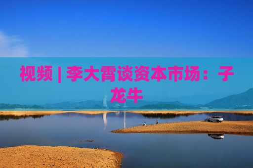 视频 | 李大霄谈资本市场：子龙牛