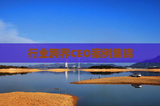 行业跨界CEO案例集锦