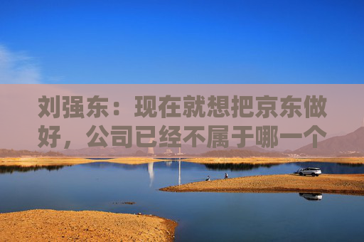 刘强东：现在就想把京东做好，公司已经不属于哪一个人了