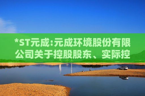*ST元成:元成环境股份有限公司关于控股股东、实际控制人所持公司部分股份被司法拍卖的进展公告