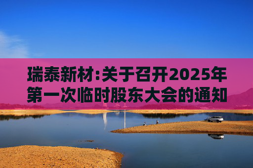 瑞泰新材:关于召开2025年第一次临时股东大会的通知