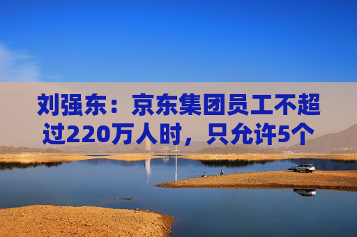 刘强东：京东集团员工不超过220万人时，只允许5个组织层级