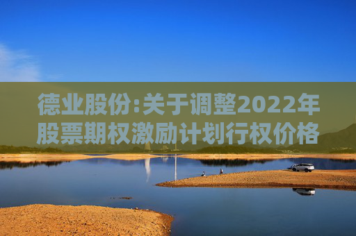 德业股份:关于调整2022年股票期权激励计划行权价格及数量的公告