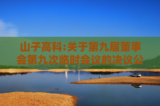 山子高科:关于第九届董事会第九次临时会议的决议公告