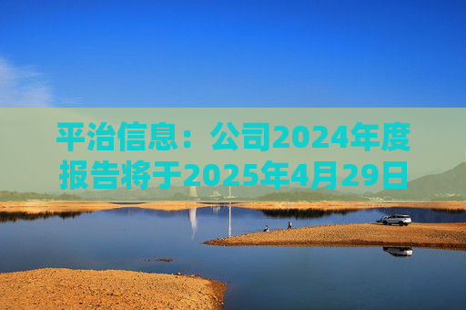 平治信息：公司2024年度报告将于2025年4月29日披露