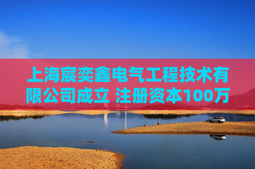 上海宸奕鑫电气工程技术有限公司成立 注册资本100万人民币