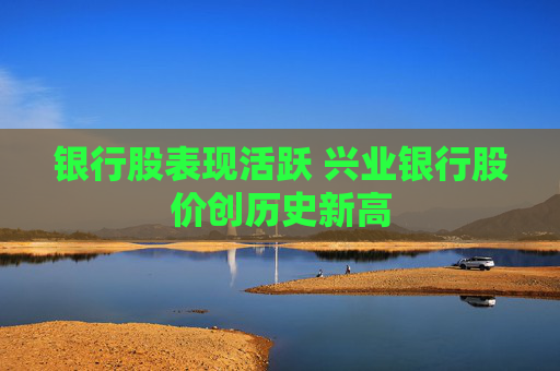 银行股表现活跃 兴业银行股价创历史新高