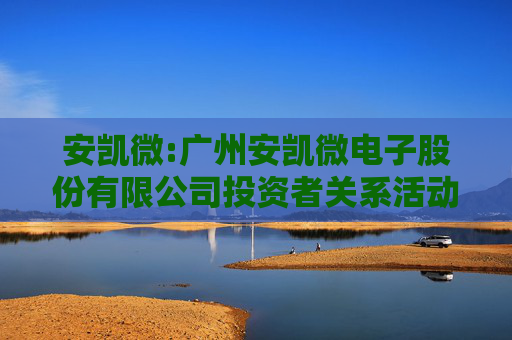安凯微:广州安凯微电子股份有限公司投资者关系活动记录表（2025年5月29日）