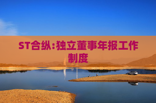 ST合纵:独立董事年报工作制度