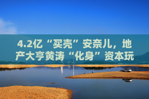 4.2亿“买壳”安奈儿，地产大亨黄涛“化身”资本玩家