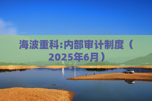 海波重科:内部审计制度（2025年6月）  第1张