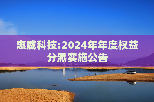 惠威科技:2024年年度权益分派实施公告