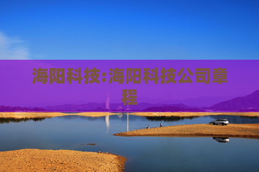 海阳科技:海阳科技公司章程  第1张