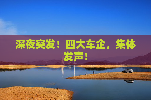 深夜突发！四大车企，集体发声！  第1张
