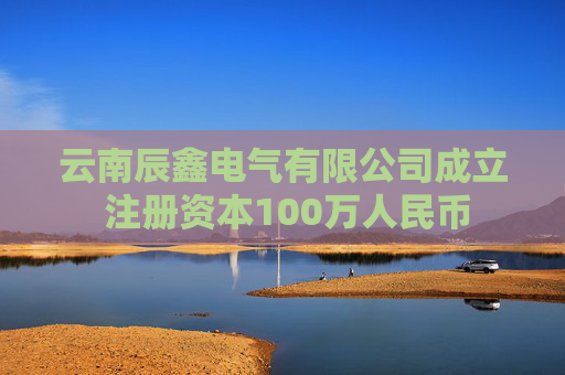 云南辰鑫电气有限公司成立 注册资本100万人民币