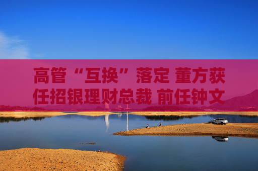 高管“互换”落定 董方获任招银理财总裁 前任钟文岳已回归招商基金  第1张