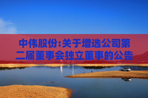中伟股份:关于增选公司第二届董事会独立董事的公告