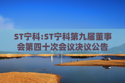ST宁科:ST宁科第九届董事会第四十次会议决议公告  第1张