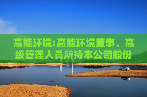 高能环境:高能环境董事、高级管理人员所持本公司股份及其变动管理制度（2025年6月）