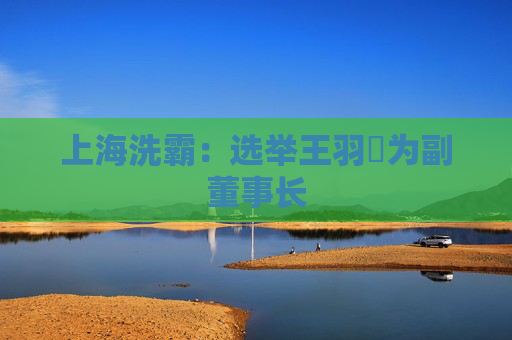 上海洗霸：选举王羽旸为副董事长