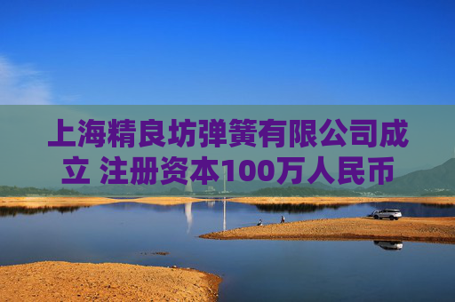 上海精良坊弹簧有限公司成立 注册资本100万人民币  第1张