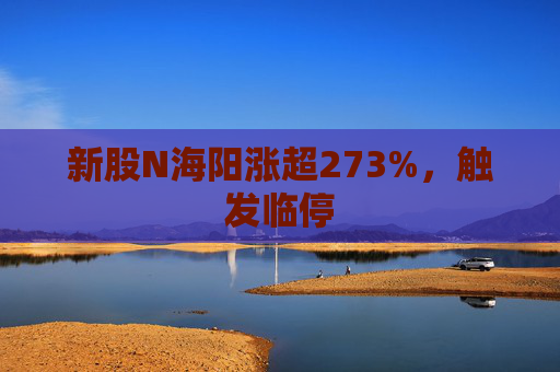 新股N海阳涨超273%，触发临停