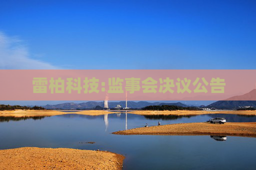 雷柏科技:监事会决议公告  第1张
