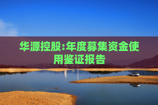 华源控股:年度募集资金使用鉴证报告  第1张