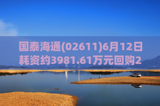 国泰海通(02611)6月12日耗资约3981.61万元回购214.992万股A股