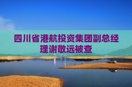 四川省港航投资集团副总经理谢敬远被查