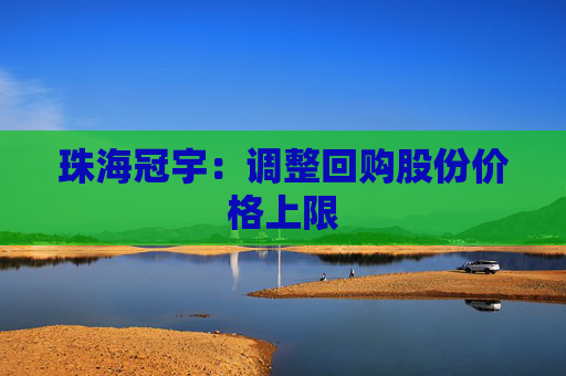 珠海冠宇：调整回购股份价格上限