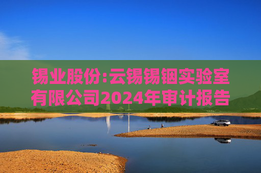 锡业股份:云锡锡铟实验室有限公司2024年审计报告