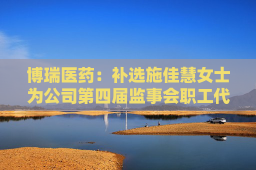 博瑞医药：补选施佳慧女士为公司第四届监事会职工代表监事