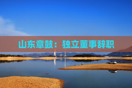 山东章鼓：独立董事辞职