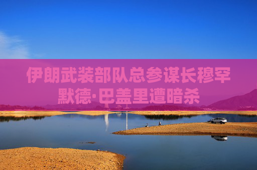 伊朗武装部队总参谋长穆罕默德·巴盖里遭暗杀