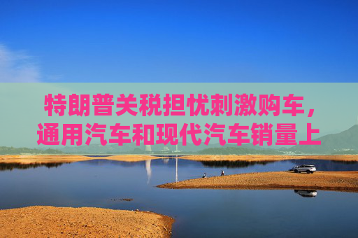特朗普关税担忧刺激购车，通用汽车和现代汽车销量上升