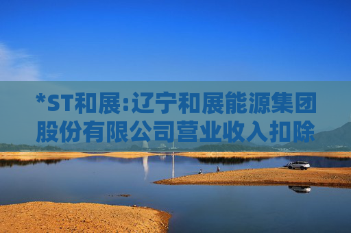 *ST和展:辽宁和展能源集团股份有限公司营业收入扣除情况表专项核查报告