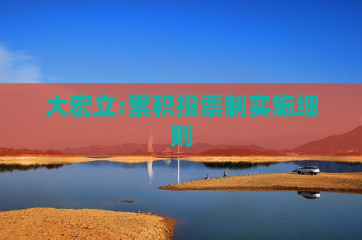大宏立:累积投票制实施细则
