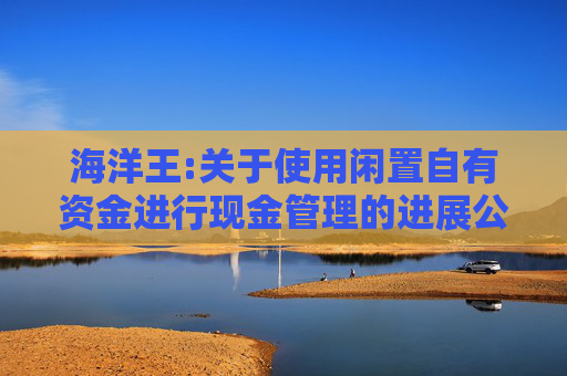 海洋王:关于使用闲置自有资金进行现金管理的进展公告