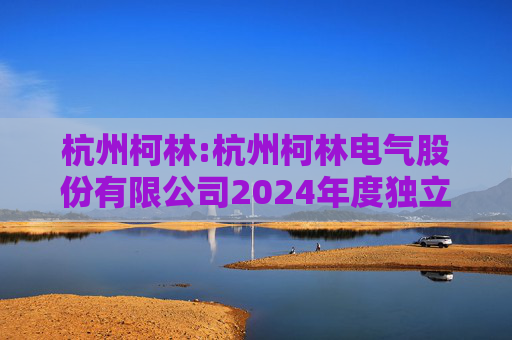杭州柯林:杭州柯林电气股份有限公司2024年度独立董事述职报告（毛卫民）  第1张
