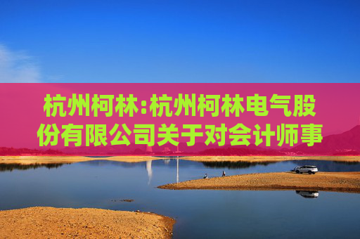 杭州柯林:杭州柯林电气股份有限公司关于对会计师事务所2024年度履职情况评估报告