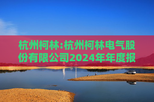 杭州柯林:杭州柯林电气股份有限公司2024年年度报告  第1张