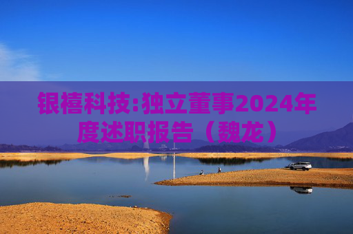 银禧科技:独立董事2024年度述职报告（魏龙）